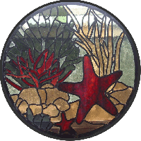 red starfish window 2