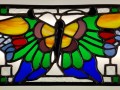 Butterfly window   IMG 0941